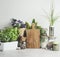 Modern kitchen with environmentally friendly food storage. Wooden cutting board, potted herbs, jars with ingredients and flowers.