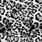 Modern leopard skin for print pattern