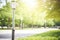 modern light post in a tranquil park