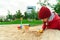 Modern little child playing in the sandbox with toys outdoors