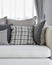 Modern living room with black and white checked pattern pillows