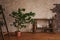 Modern loft style interior. Textured wall with bricks, Benjamin`s ficus, wooden stirrup and console