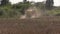 Modern machinery harvest wheat grain field near forest