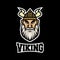 Modern mascot viking logo. Vector illustration