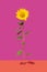 Modern and minimal autumn concept.Single fresh lovely natural magnificent sunflower against purple and terracotta background