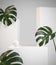 Modern Minimal Mockup Beauty White Display With Monstera Tropic Plant Abstract Background 3d Render