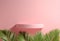 Modern Minimal Soft Pink Shelf Display For Show Product With Leaf Palm Background 3d Render