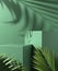 Modern Minimal Step Green Podium With Palm Leaf And Sunlight Shadow On Concrete Wall Background 3d Render