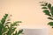 Modern Minimal Stone Podium With Foreground Tropical Plant Depth Of Field Beige Color Background 3d Render