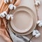 Modern minimal table place setting neutral peach fuzz color top view decorated with flowers cotton branch. Space for text or menu