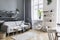 Modern nordic living room interior with design grey sofa, coffee table, plants, stylish accessories, decoration, carpet.