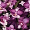 Modern orchid pattern for a stylish touch