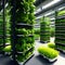 Modern organic hydroponic vertical farming using automated systems. Smart Farming 4. Generative AI.