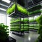 Modern organic hydroponic vertical farming using automated systems. Smart Farming 4. Generative AI.