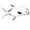 Modern Outline Of A Permit Fish