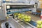 Modern packaging machine for fresh pears in a factory for food industry