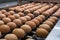 Modern packing, handling and transportation to incubators of organic hatching eggs in Europe, high level of automation