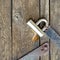 Modern padlock on textured black wooden door