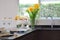 Modern pantry with sink and utensil on granite counter top