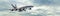 Modern Passenger airplane in flight panorama