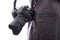Modern photo SLR camera hanging on the shoulder
