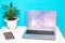 Modern portable Laptop and smartphone with abstract screens and cactus plant on white table over blue background with copy space.