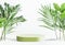 Modern product display with green podium and tropical leaves  at white background. Showcase for beauty product. Front view with