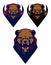 Modern professional logo with grizzly bear for a sport team.