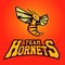 Modern professional logo for sport team. Hornet mascot. Hornets, vector symbol on a light background.