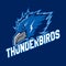 Modern professional logo for sport team. Thunder bird mascot. Thunderbirds, vector symbol on a dark background.