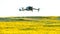 A modern quadcopter flies over a field of sunflowers against the sunset. The use of modern technologies in the agro-industrial