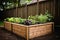 A modern raised bed for gardening