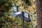 Modern reflector lights on public street light mounted on metal pole next to tall tree