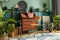 Modern and retro composition of home office interior with wooden cabinet, chair, plants, decoration.