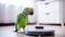 Modern robotic vacuum cleaner and parrot on floor indoors. funny animals. smart home concept