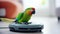 Modern robotic vacuum cleaner and parrot on floor indoors. funny animals. smart home concept