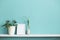 Modern room decoration with Picture frame mockup. White shelf against pastel turquoise wall with spider plant cuttings in water