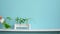 Modern room decoration. White shelf against pastel turquoise wall with Collection of various plant cuttings test tubes.