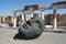 Modern sculpture head- Pompeii