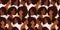 Modern Seamless pattern with diverse black women's faces and trendy hairstyles. Female portrait of African Americans