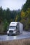 Modern semi truck trailer in rain autumn winding road