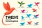 Modern Set . Colorful birds, Colibri, hummingbird in flight, trendy minimalistic template design for logos, emblems