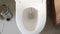 Modern silver bidet injector appears in white flush near bin