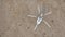 Modern small helicopter on a dried rocky field, aerial top view. Clip. Landed aircraft standing on the ground in a dry