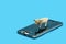 Modern smartphone with a broken screen and figure of a hippopotamus on a blue background, clipping path