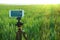 Modern smartphone fixed on fluid tripod are ready to record video in the wheat field. Summer outdoor