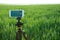 Modern smartphone fixed on fluid tripod are ready to record video in the wheat field. Summer outdoor