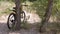 Modern Sports Bike Standing near a Tree in Forest in Windy Sunny Weather. Zoom