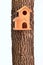 Modern starling-house on tree trunk isolated