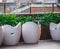 Modern Stone Seats on Rooftop Patio